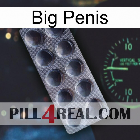 Big Penis 30.jpg